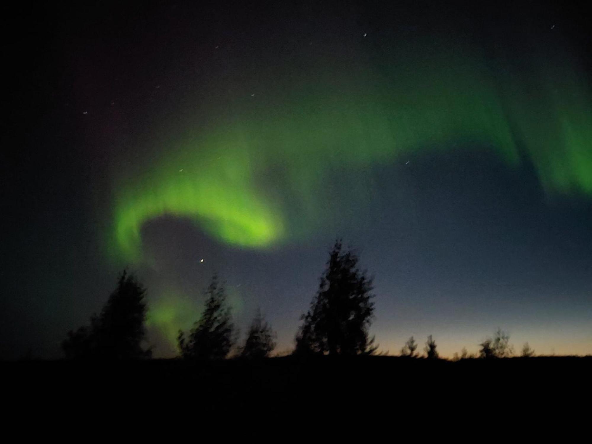 Lapland Forest Lodge Rovaniemi Luaran gambar